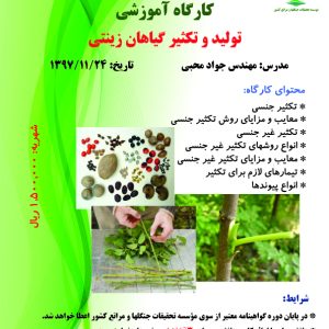 تولید و تکثیر گیاهان زینتی (تاریخ برگزاری: ۱۳۹۷/۱۱/۲۴)