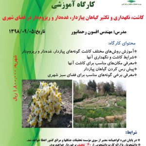 کاشت، نگهداری و تکثیر گیاهان پیازدار، غده‌دار و ریزوم‌دار در فضای شهری (تاریخ برگزاری: ۱۳۹۸/۰۹/۰۵)